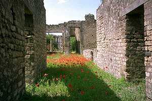 zerstrte Stadtmauer