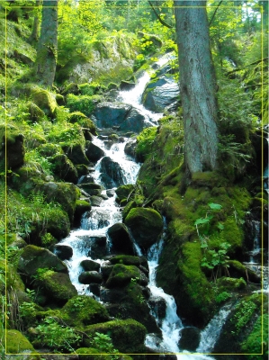 Wildbach - Strom lebendigen Wassers