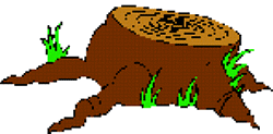 Wurzel